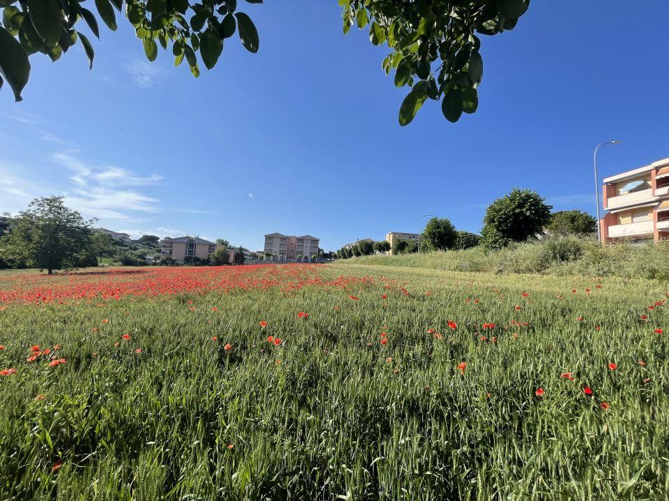 Vendita Loft, mansarde e attici, Mosciano Sant'Angelo foto