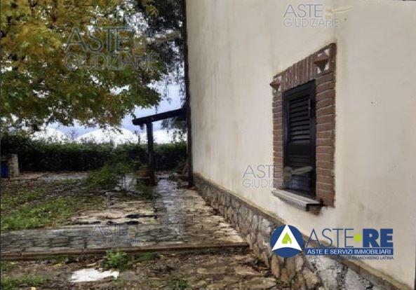 Vendita Multivani, Cisterna di Latina foto
