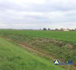 Vendita Loft, mansarde e attici, Cascina Vendita Loft, mansarde e attici, Cascina