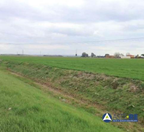 Vendita Loft, mansarde e attici, Cascina foto