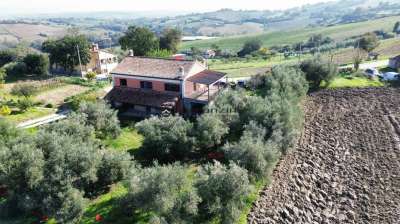 Vendita Pentavani, Cartoceto Vendita Pentavani, Cartoceto
