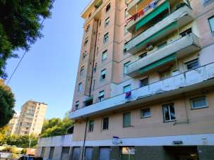 Vendita Esavani, Genova Vendita Esavani, Genova