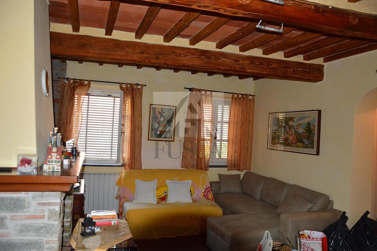 Vendita Multivani, Lucca foto