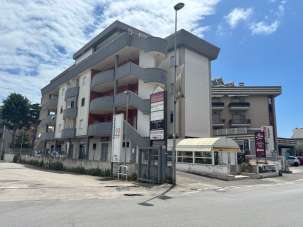 Vendita Trivani, Nettuno