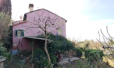 Vendita Trivani, Livorno Vendita Trivani, Livorno