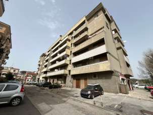 Affitto Bivani, Nettuno