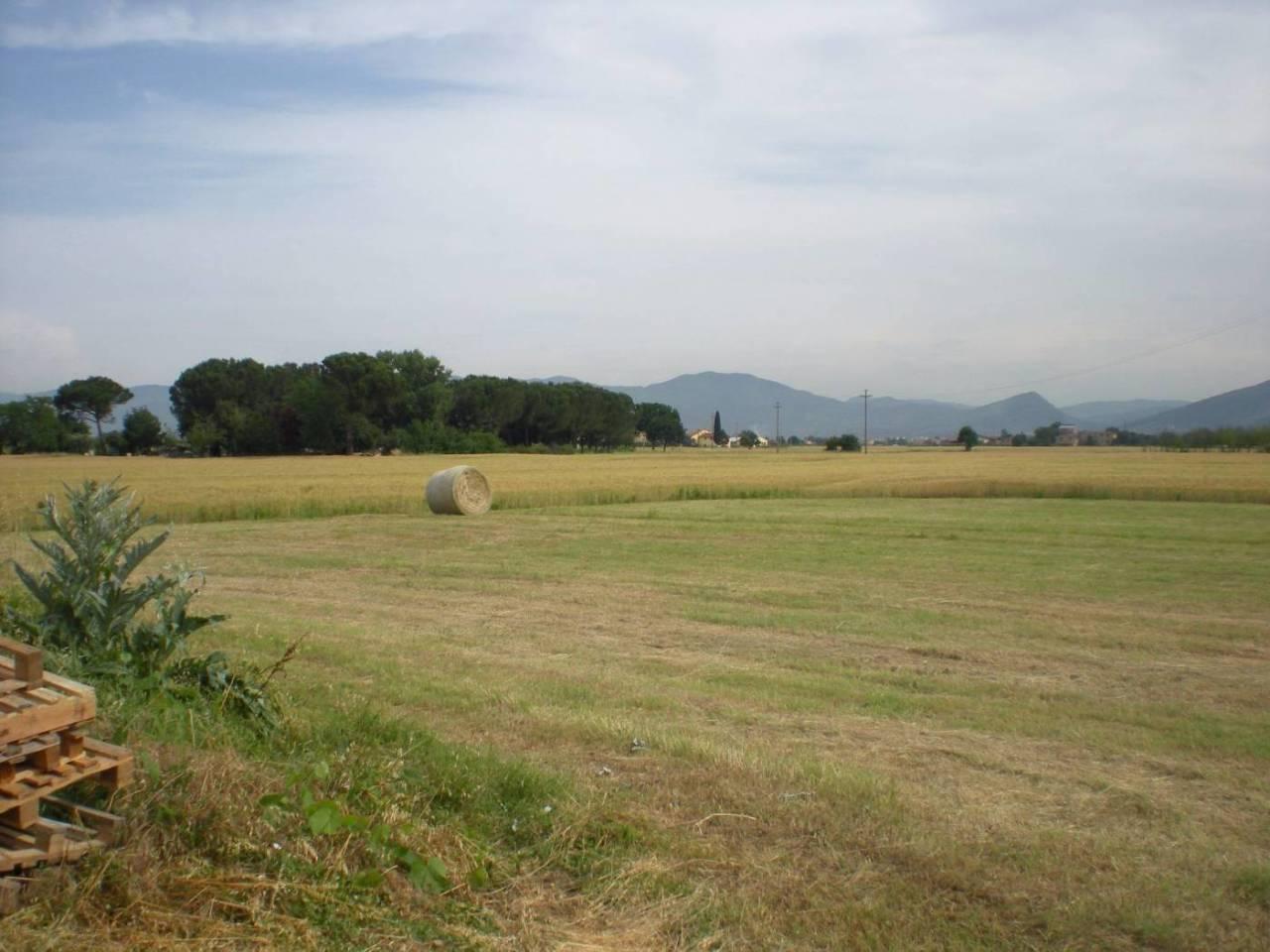Vendita Pentavani, Lucca foto