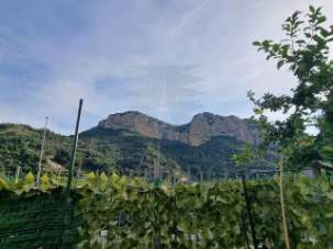 Vendita Bivani, Ventimiglia Vendita Bivani, Ventimiglia