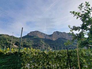 Vendita Bivani, Ventimiglia foto