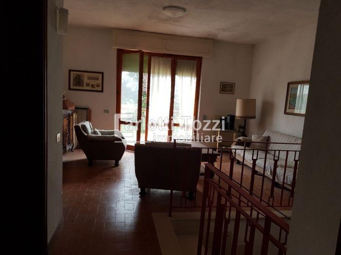 Vendita Multivani, Grosseto foto