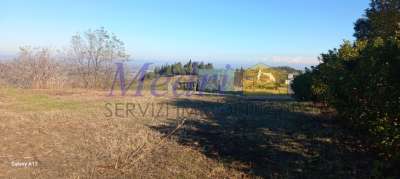 Vendita Monovano, Montiano Vendita Monovano, Montiano