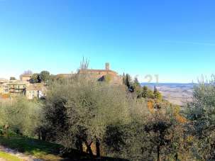 Vendita Multivani, Montalcino Vendita Multivani, Montalcino