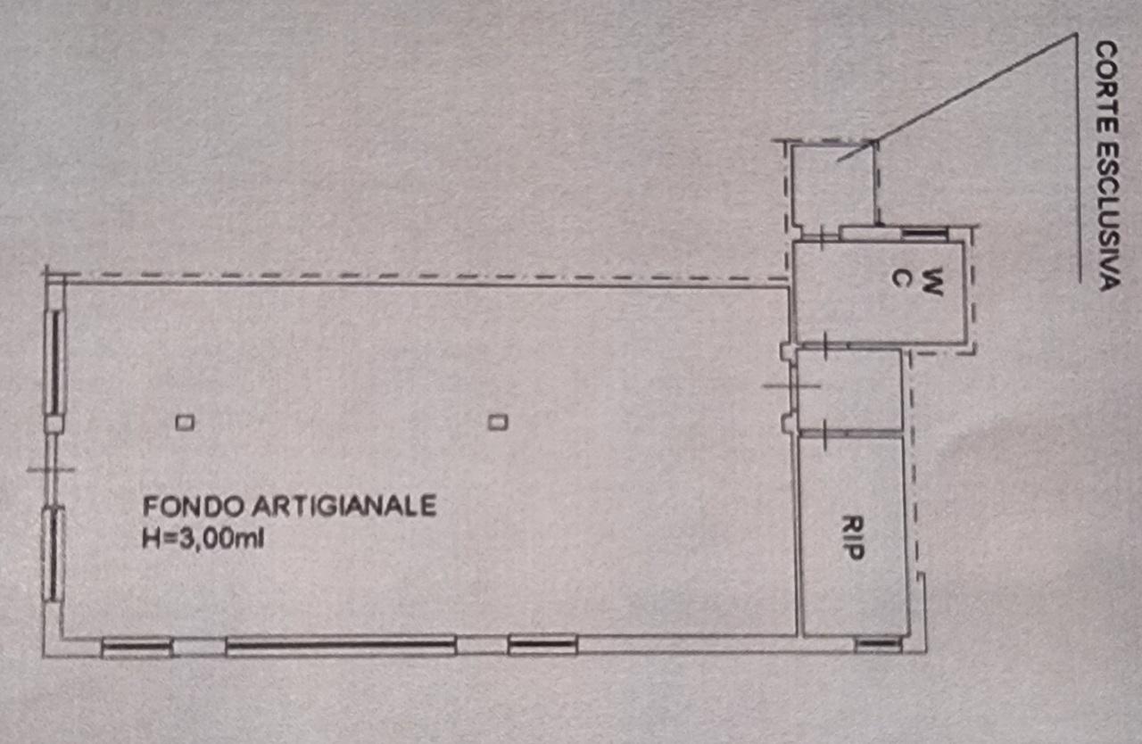 Affitto Bivani, Viareggio Affitto Bivani, Viareggio foto