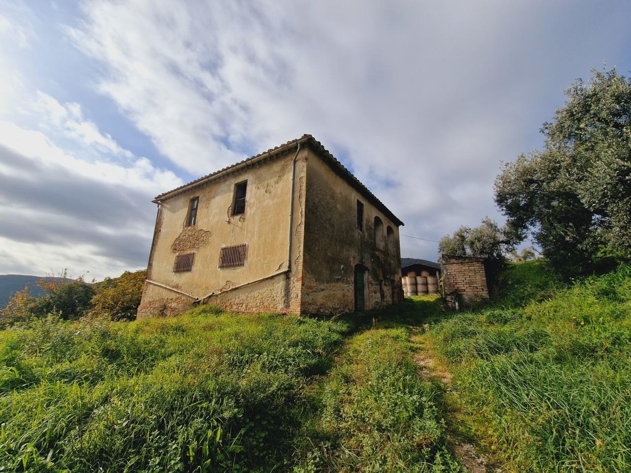 Vendita Multivani, Narni foto
