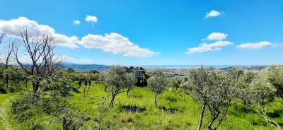 Vendita Terreni, Montecorvino Rovella