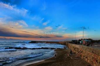 Affitto Quadrivani, Livorno Affitto Quadrivani, Livorno