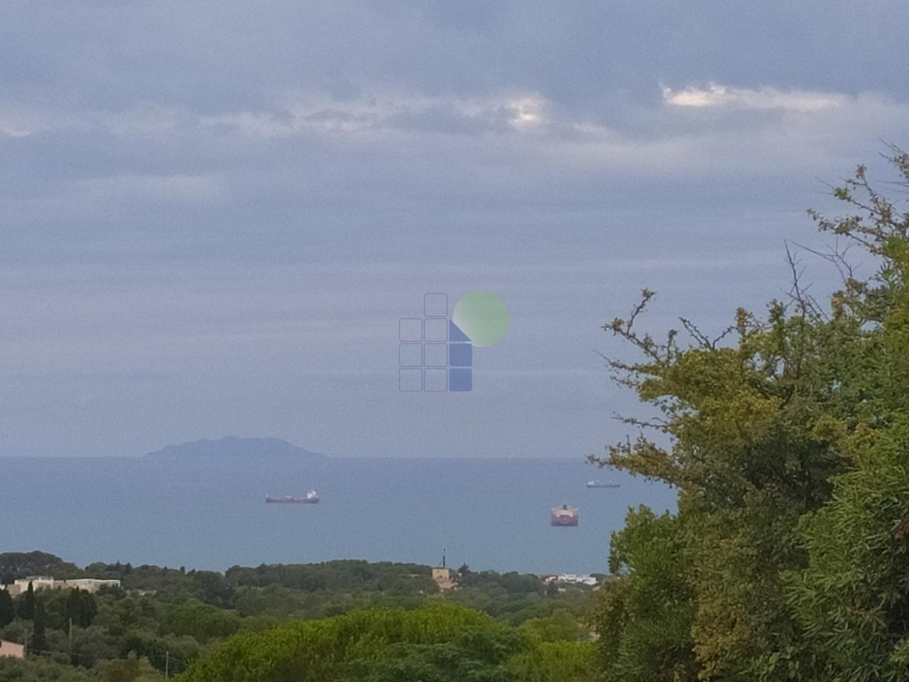 Vendita Esavani, Livorno foto