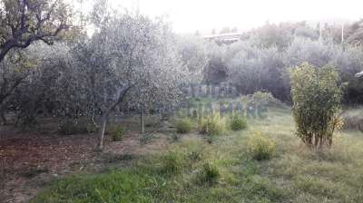 Vendita Monovano, Taggia Vendita Monovano, Taggia