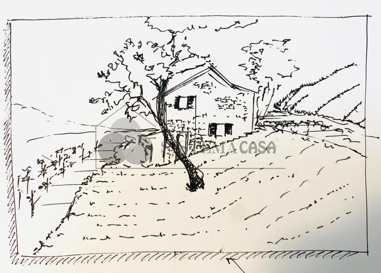 Vendita Bivani, Sarzana Vendita Bivani, Sarzana foto