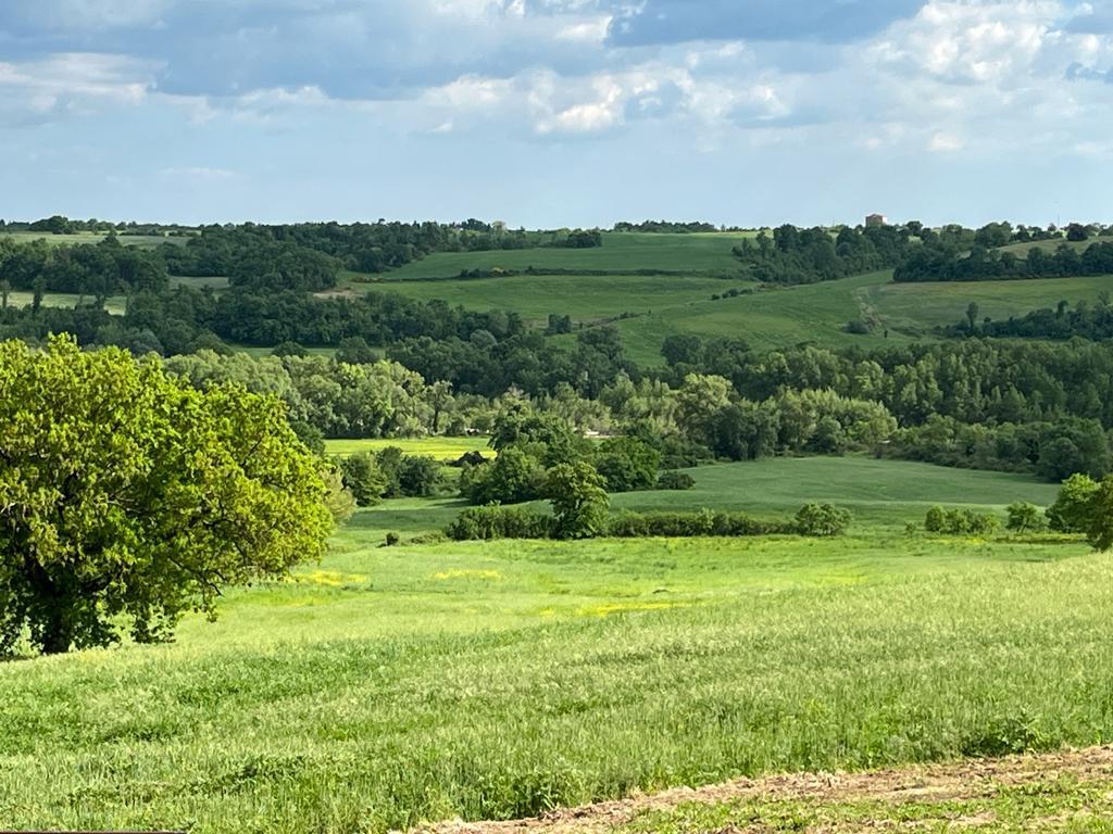 Vendita Altri immobili, Manciano foto
