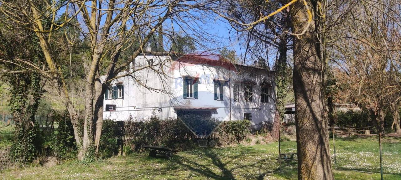 Vendita Multivani, Casciana Terme Lari foto