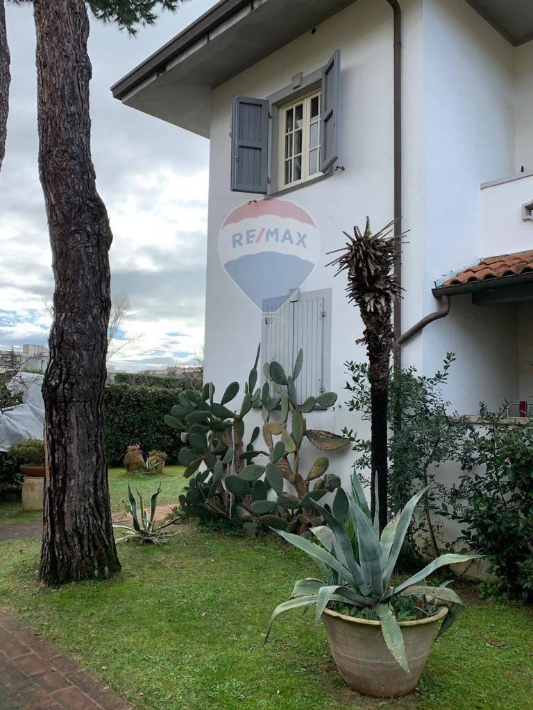 Affitto Multivani, Camaiore foto