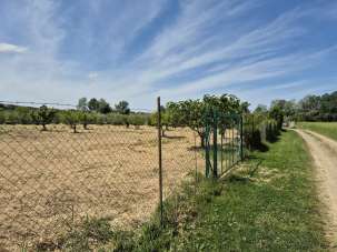 Vendita Terreno, Grosseto Vendita Terreno, Grosseto