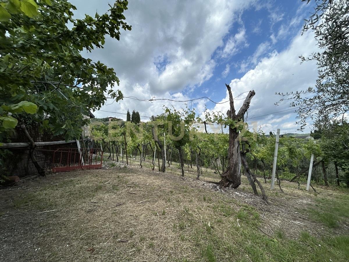 Vendita Bivani, Mezzane di Sotto foto