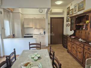 Affitto Bivani, Montesilvano Affitto Bivani, Montesilvano