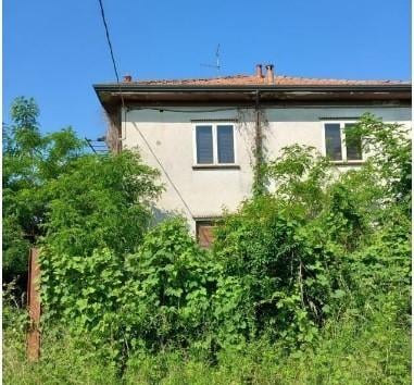 Vendita Multivani, Momo foto