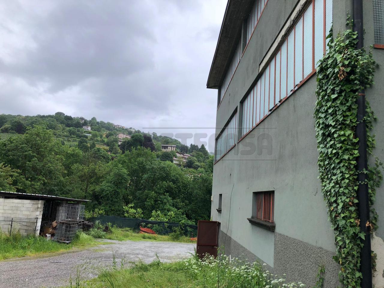 Renta Roomed, Sorisole foto