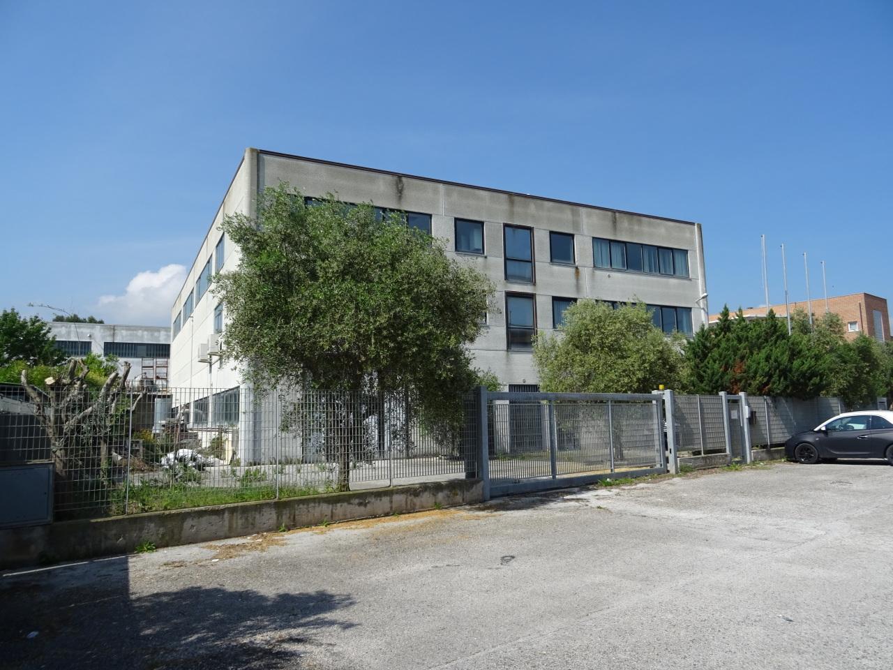 Vendita Industriale, Senigallia foto