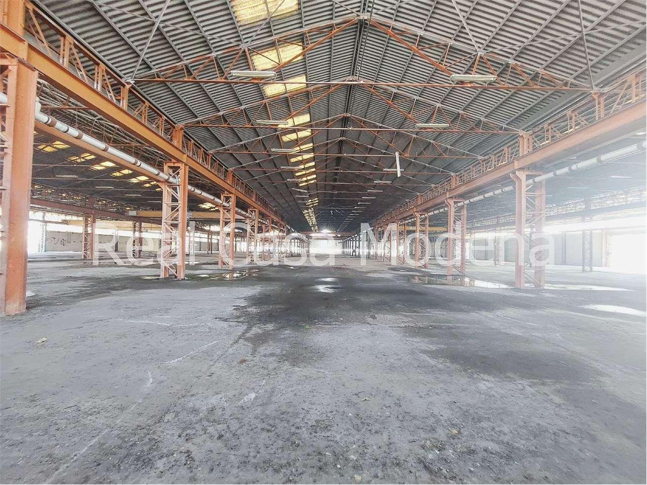 Vendita vendita, Modena foto