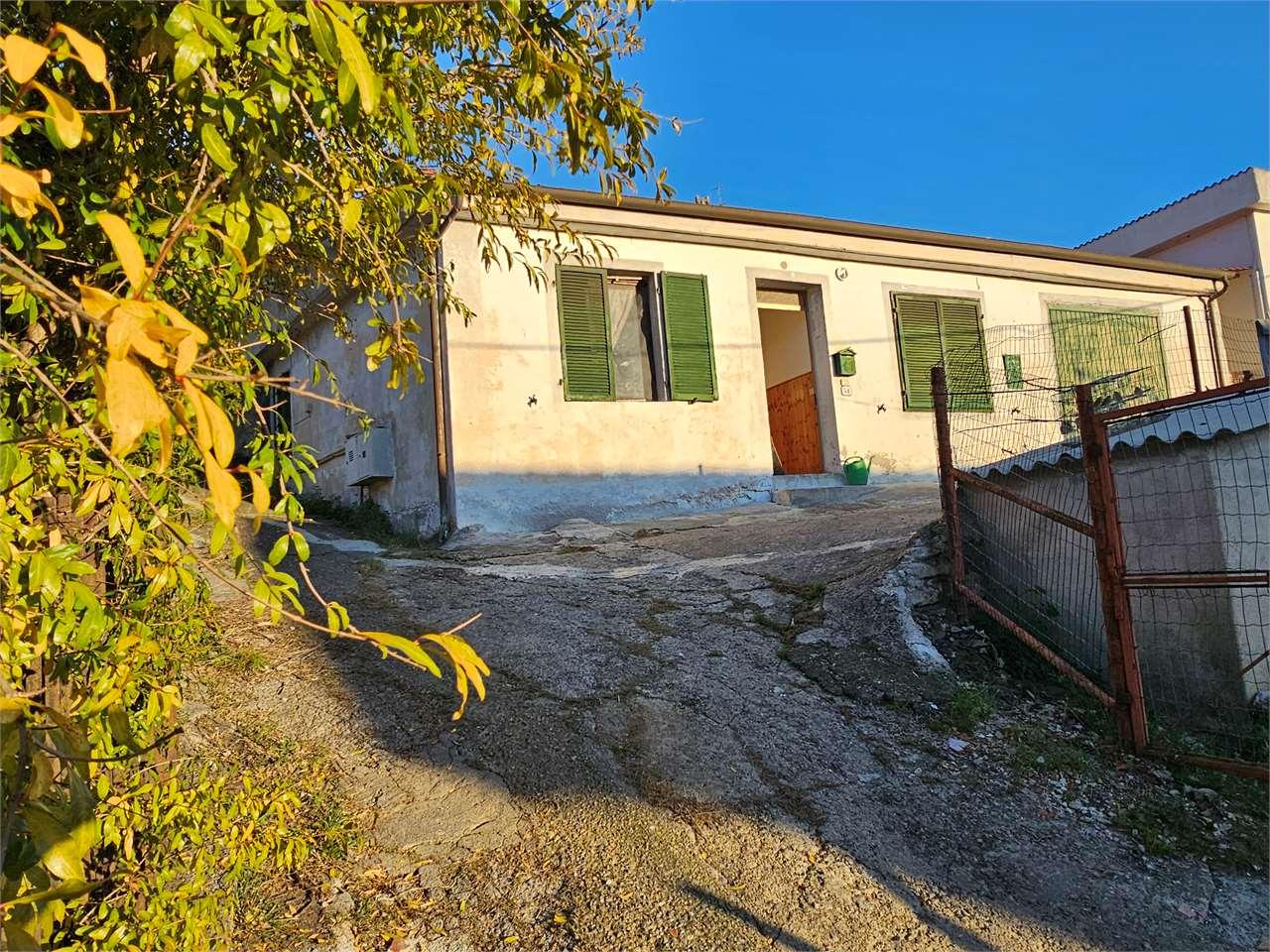 Vendita vendita, Cervo foto