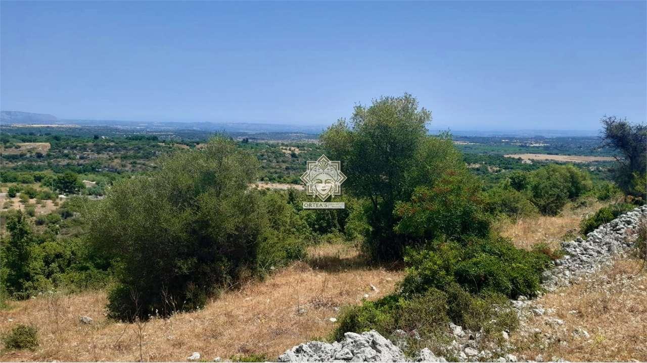 Vendita vendita, Noto foto