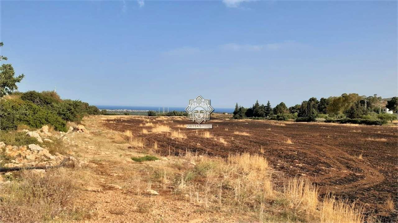 Vendita vendita, Noto foto