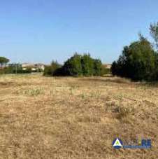 Vendita Loft, mansarde e attici, Collesalvetti Vendita Loft, mansarde e attici, Collesalvetti