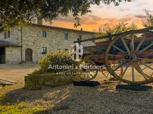 Vendita Multivani, Todi Vendita Multivani, Todi