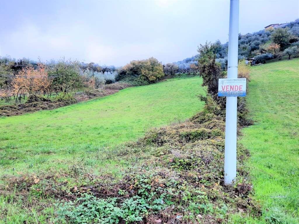Vendita vendita, Monte San Giovanni Campano foto