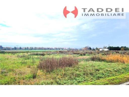 Vendita TERRENO AGRICOLO, Firenze foto
