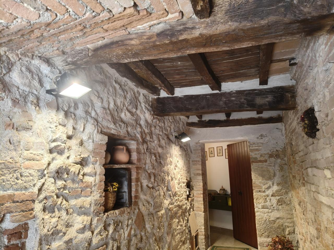 Vendita Eptavani, Avigliano Umbro foto