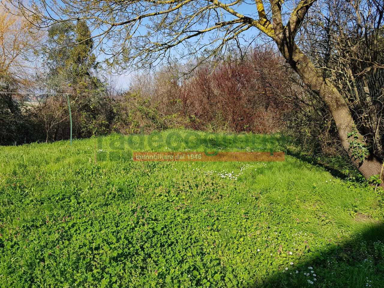 Vendita Multivani, Collesalvetti foto