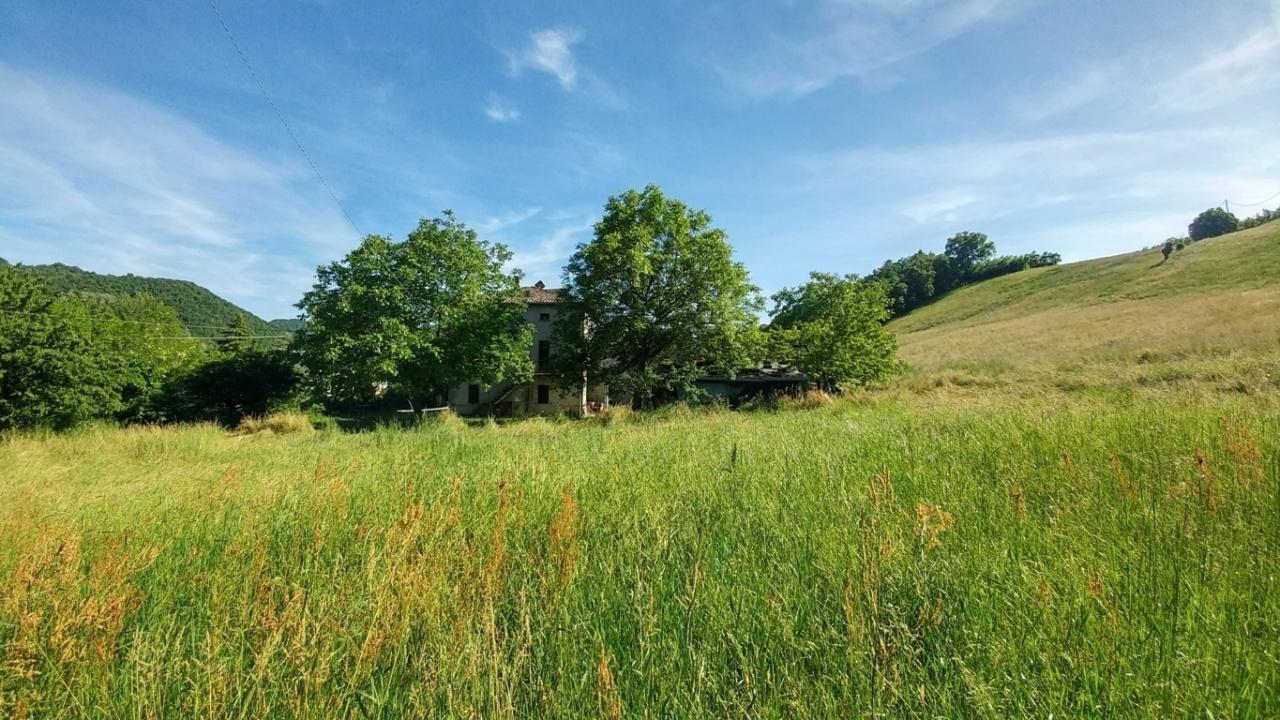 Vendita Terreni, Zocca foto