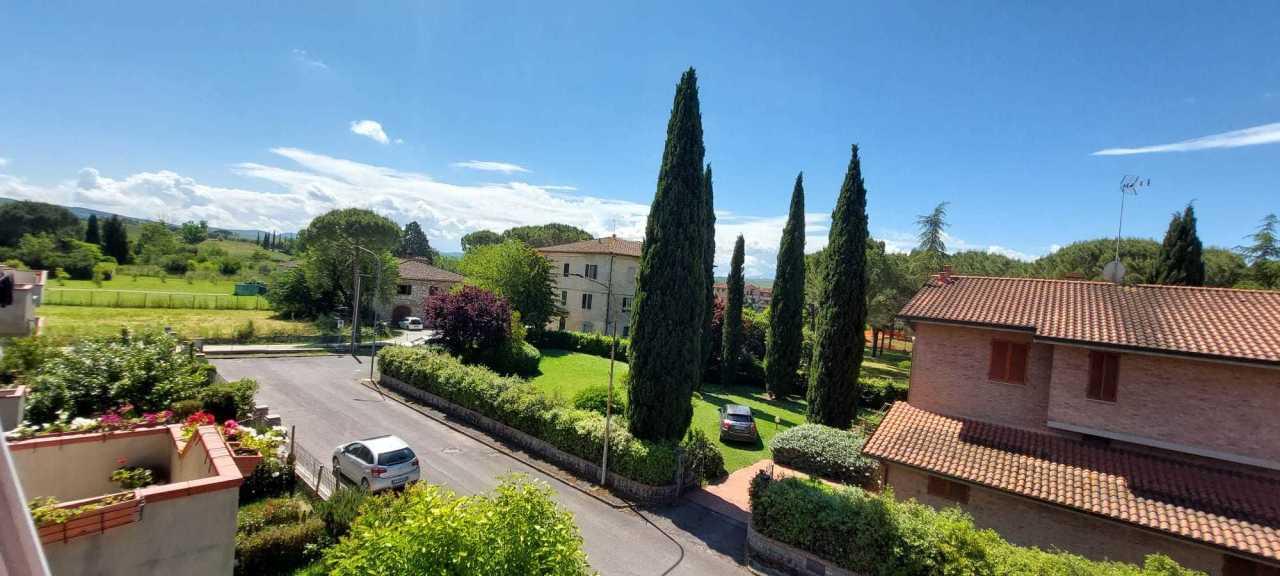 Vendita Esavani, Asciano foto