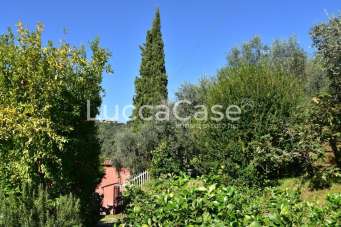 Vendita Rustico, Massarosa Vendita Rustico, Massarosa