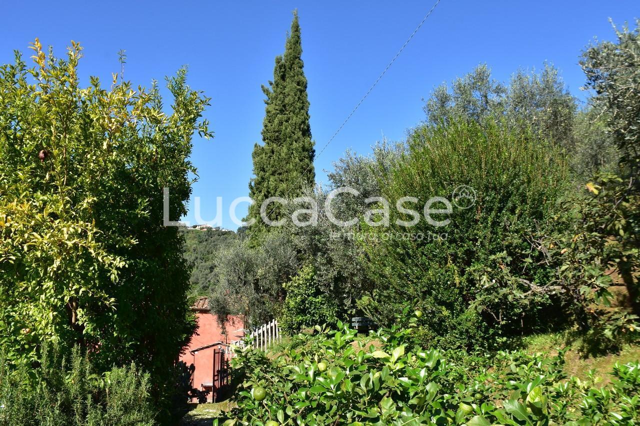 Vendita Rustico, Massarosa foto