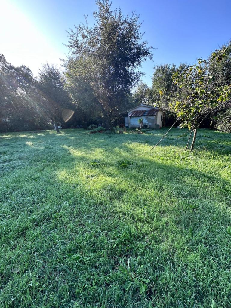 Vendita Monovano, Campiglia Marittima foto
