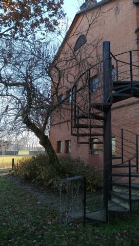 Renta Trivani, Parma foto