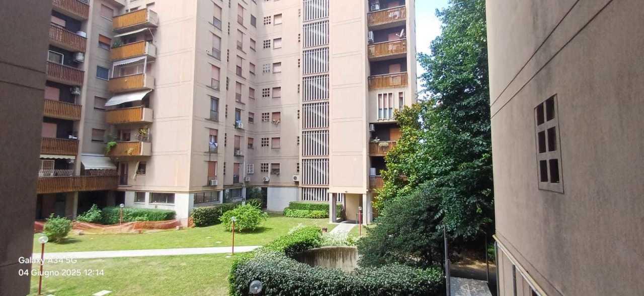 Vendita Quadrivani, Bologna foto