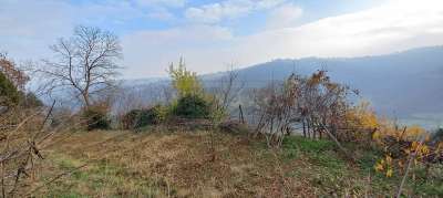 Vendita Terreni, Altavilla Vicentina Vendita Terreni, Altavilla Vicentina